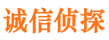 丰宁市调查公司